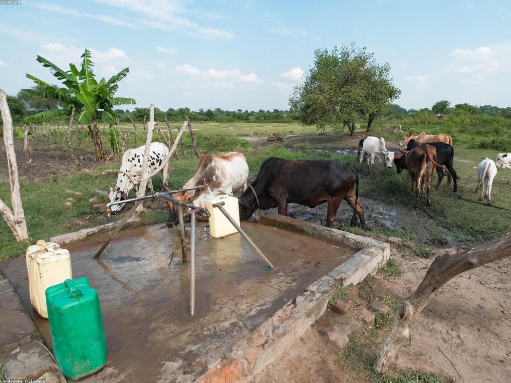 កម្មវិធីជាមួយ: ឧបករណ៍សហការណ៍ដែលមានប្រសិទ្ធភាព